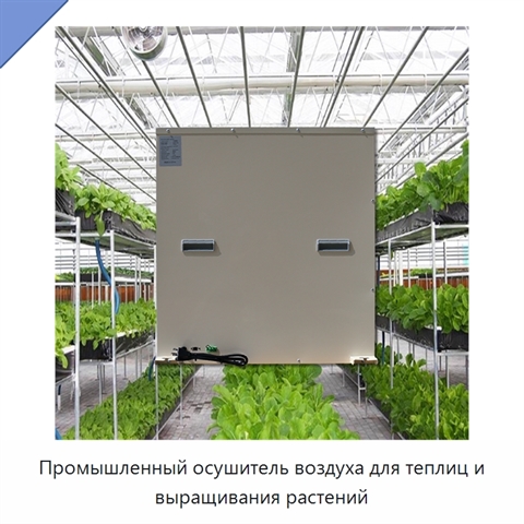 Промышленный осушитель воздуха для теплиц и выращивания растений