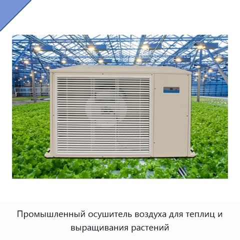 Промышленный осушитель воздуха для теплиц и выращивания растений
