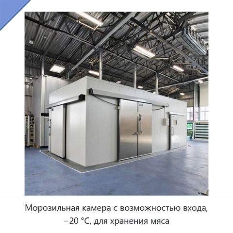 Морозильная камера с возможностью входа, −20 °С, для хранения мяса