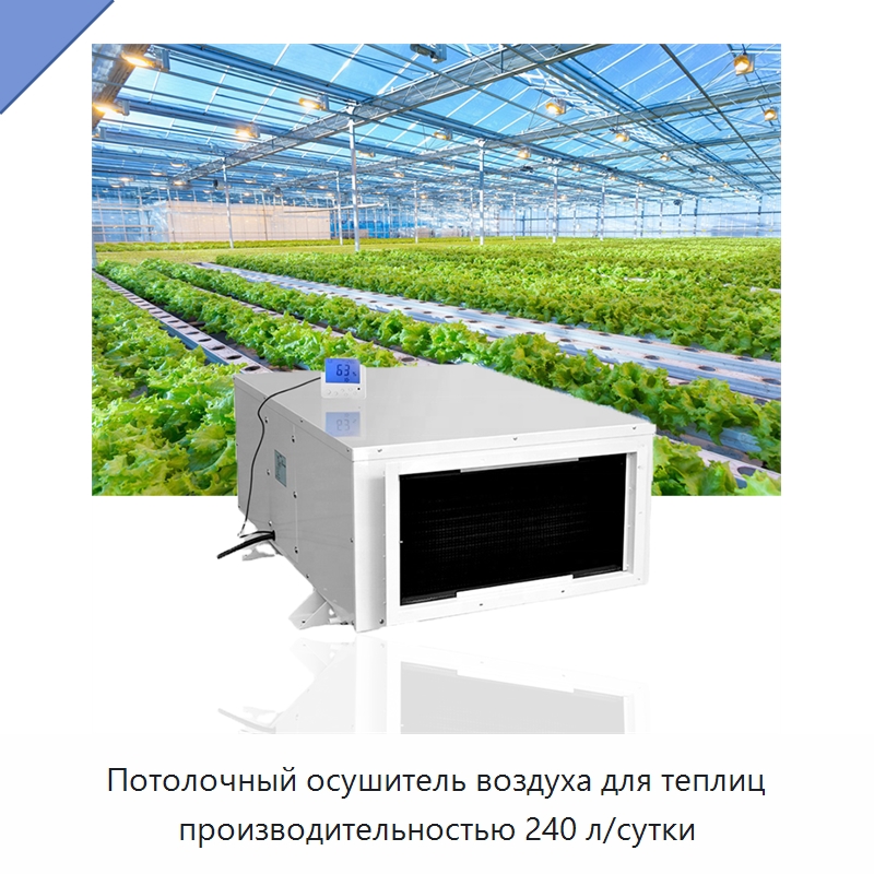 Потолочный осушитель воздуха для теплиц производительностью 240 л/сутки — Воздухоочистительное оборудование