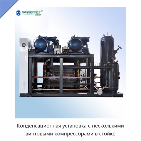 Конденсационная установка с несколькими винтовыми компрессорами в стойке