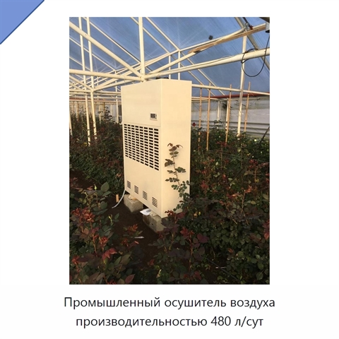 Промышленный осушитель воздуха производительностью 480 л/сут
