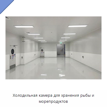 Холодильная камера для хранения рыбы и морепродуктов