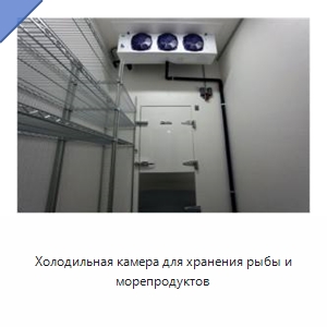 Холодильная камера для хранения рыбы и морепродуктов