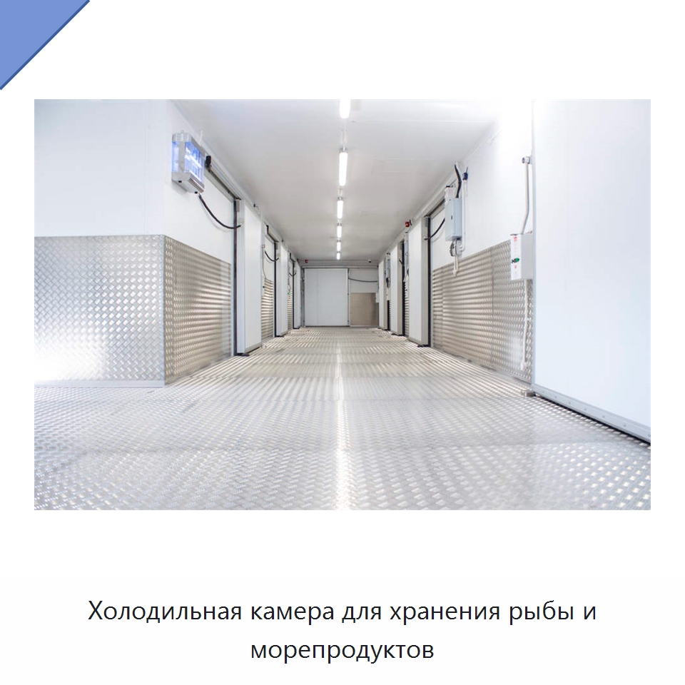 Холодильная камера для хранения рыбы и морепродуктов
