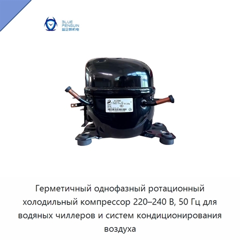 Герметичный однофазный ротационный холодильный компрессор 220–240 В, 50 Гц для водяных чиллеров и систем кондиционирования воздуха