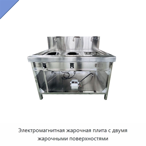 Электромагнитная жарочная плита с двумя жарочными поверхностями