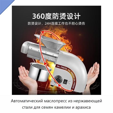 Автоматический маслопресс из нержавеющей стали для семян камелии и арахиса