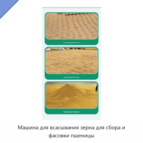 Машина для всасывания зерна для сбора и фасовки пшеницы