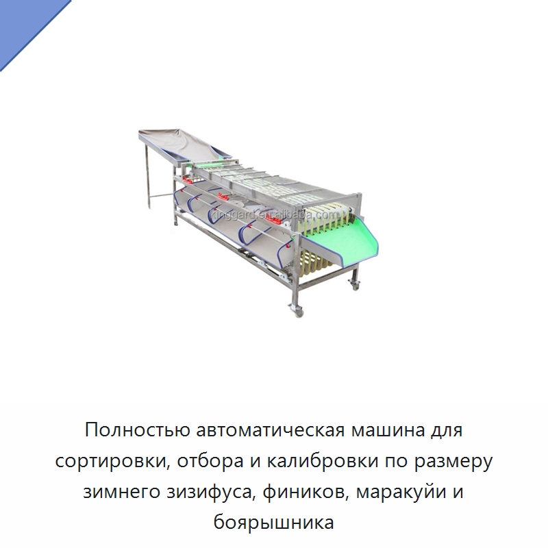 Полностью автоматическая машина для сортировки, отбора и калибровки по размеру зимнего зизифуса, фиников, маракуйи и боярышника