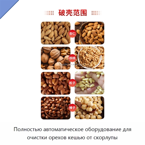 Полностью автоматическое оборудование для очистки орехов кешью от скорлупы