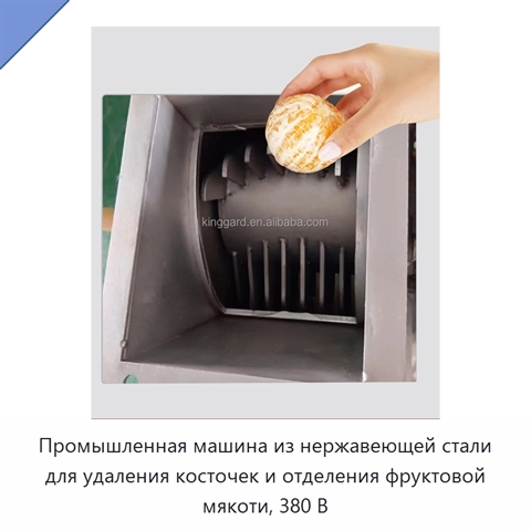 Промышленная машина из нержавеющей стали для удаления косточек и отделения фруктовой мякоти, 380 В