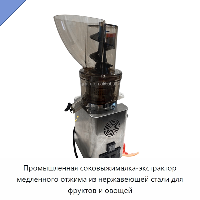 Промышленная соковыжималка-экстрактор медленного отжима из нержавеющей стали для фруктов и овощей