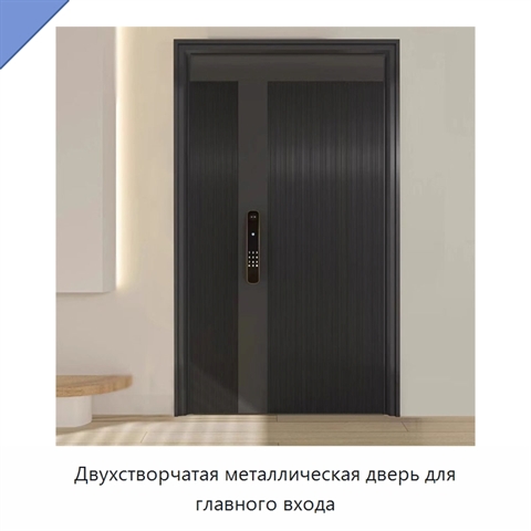Двухстворчатая металлическая дверь для главного входа