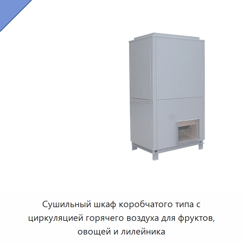 Сушильный шкаф коробчатого типа с циркуляцией горячего воздуха для фруктов, овощей и лилейника