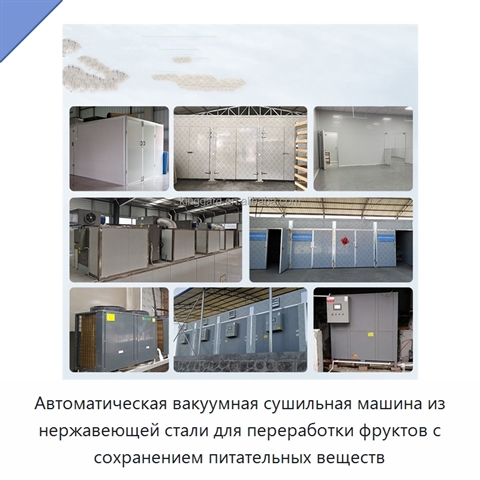Автоматическая вакуумная сушильная машина из нержавеющей стали для переработки фруктов с сохранением питательных веществ