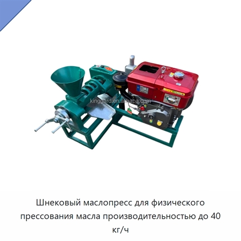 Шнековый маслопресс для физического прессования масла производительностью до 40 кг/ч