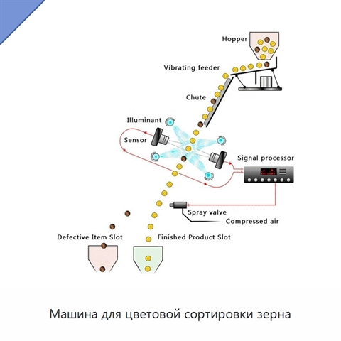 Машина для цветовой сортировки зерна