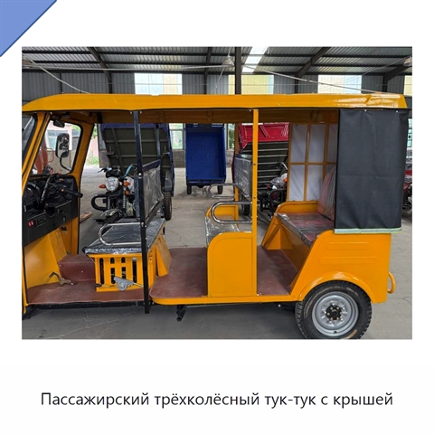 Пассажирский трёхколёсный тук-тук с крышей