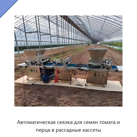 Автоматическая сеялка для семян томата и перца в рассадные кассеты