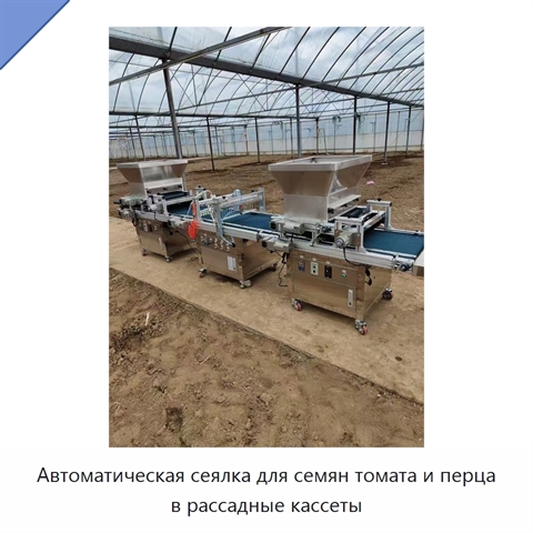 Автоматическая сеялка для семян томата и перца в рассадные кассеты