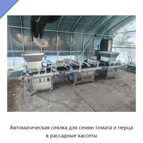 Автоматическая сеялка для семян томата и перца в рассадные кассеты
