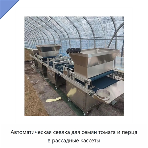 Автоматическая сеялка для семян томата и перца в рассадные кассеты