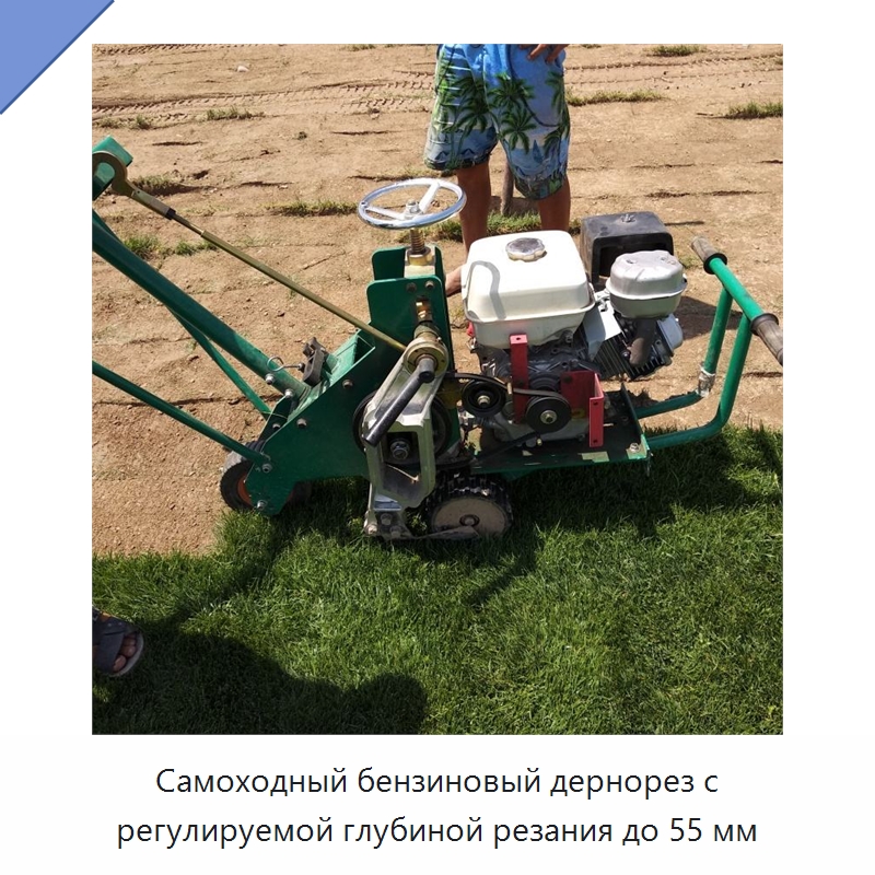 Самоходный бензиновый дернорез с регулируемой глубиной резания до 55 мм — Специальная сельскохозяйственная техника