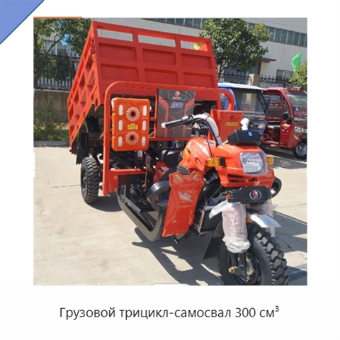 Грузовой трицикл-самосвал 300 см³