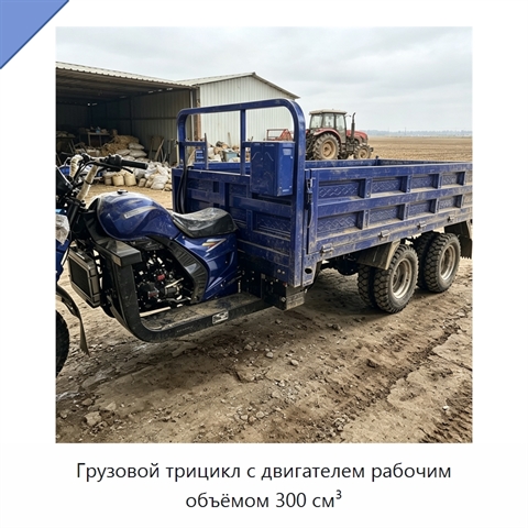 Грузовой трицикл с двигателем рабочим объёмом 300 см³