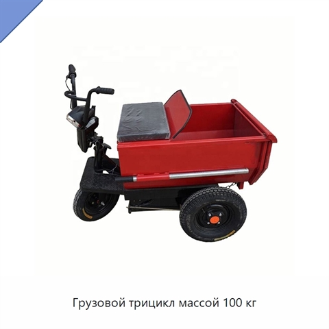 Грузовой трицикл массой 100 кг