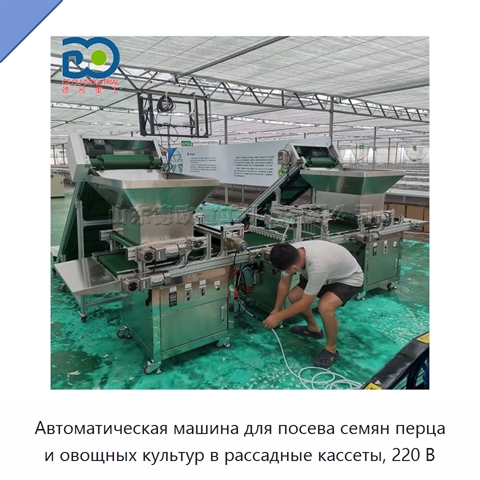 Автоматическая машина 220 В для посева в рассадные кассеты