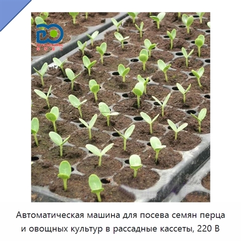 Автоматическая машина 220 В для посева в рассадные кассеты