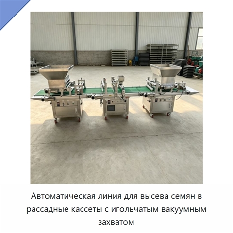 Автоматическая линия для высева семян в рассадные кассеты с игольчатым вакуумным захватом