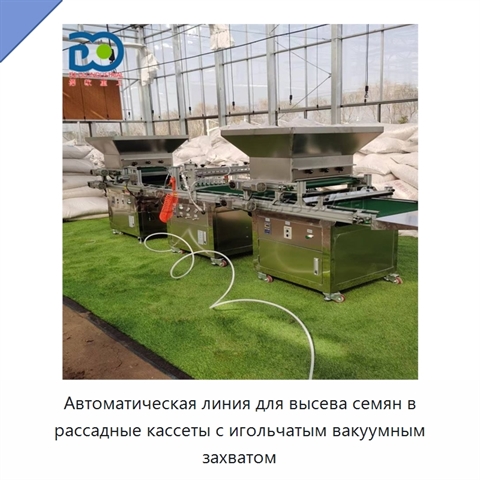 Автоматическая линия для высева семян в рассадные кассеты с игольчатым вакуумным захватом