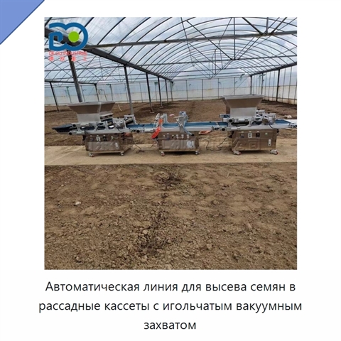 Автоматическая линия для высева семян в рассадные кассеты с игольчатым вакуумным захватом
