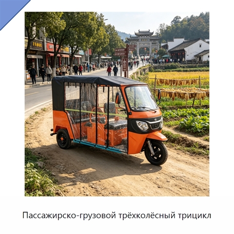 Пассажирско-грузовой трёхколёсный трицикл