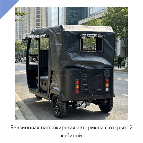 Бензиновая пассажирская авторикша с открытой кабиной
