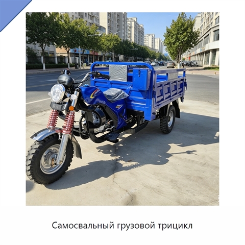 Самосвальный грузовой трицикл