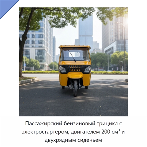 Пассажирский бензиновый трицикл с электростартером, двигателем 200 см³ и двухрядным сиденьем