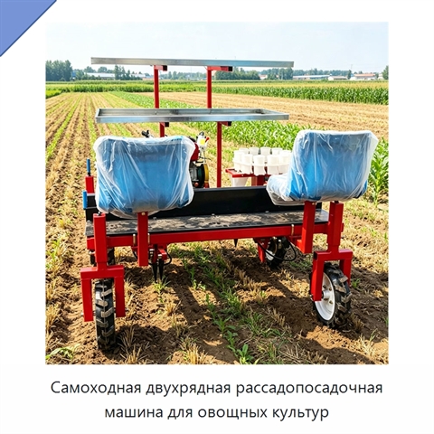 Самоходная двухрядная рассадопосадочная машина для овощных культур