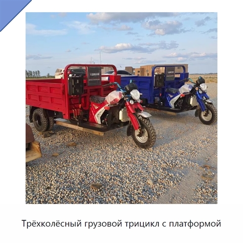 Трёхколёсный грузовой трицикл с платформой