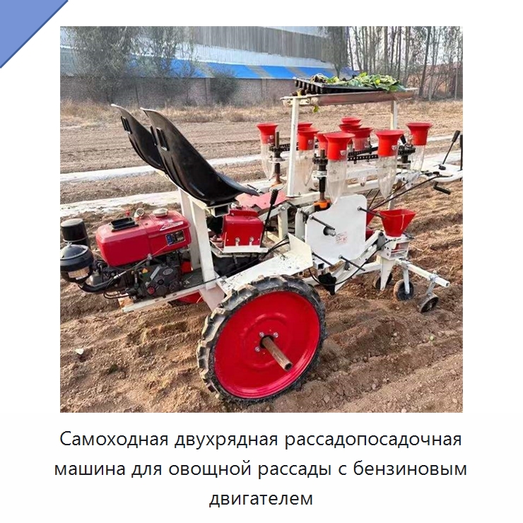 Самоходная двухрядная рассадопосадочная машина для овощной рассады с бензиновым двигателем — Сеялки и рассадопосадочные машины