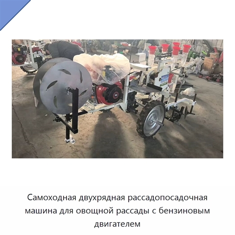 Самоходная двухрядная рассадопосадочная машина для овощной рассады с бензиновым двигателем