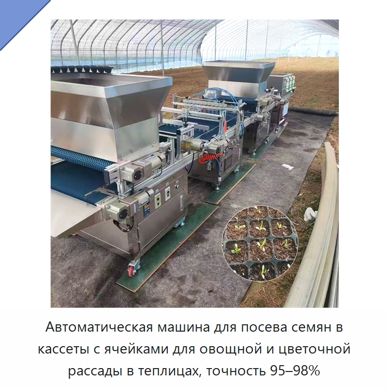 Автоматическая машина для посева семян в кассеты с ячейками для овощной и цветочной рассады в теплицах, точность 95–98% — Сеялки и рассадопосадочные машины