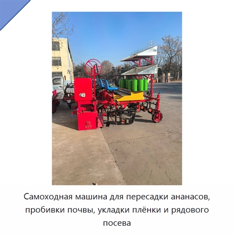 Самоходная машина для пересадки ананасов, пробивки почвы, укладки плёнки и рядового посева