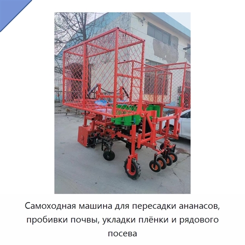Самоходная машина для пересадки ананасов, пробивки почвы, укладки плёнки и рядового посева