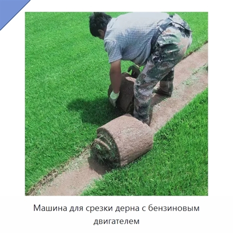 Машина для срезки дерна с бензиновым двигателем
