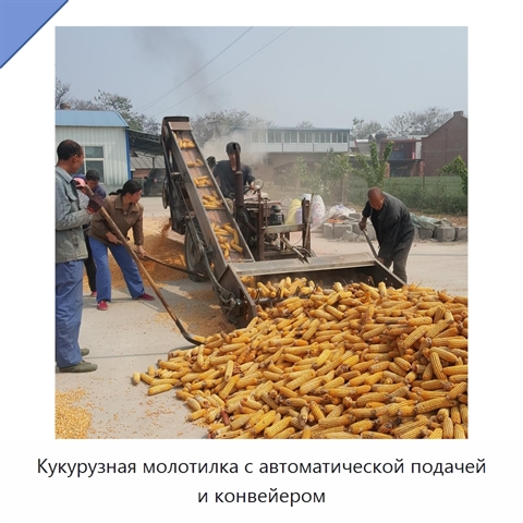 Кукурузная молотилка с автоматической подачей и конвейером
