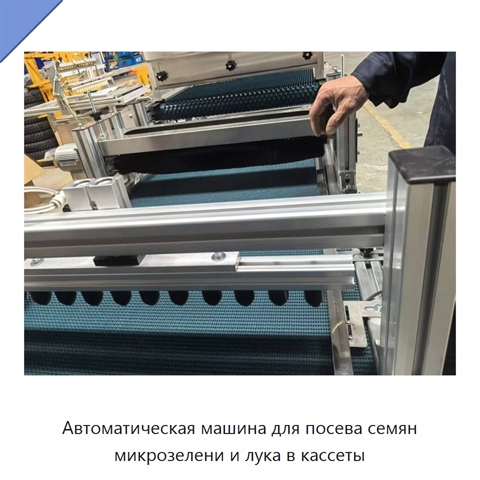 Автоматическая машина для посева семян микрозелени и лука в кассеты